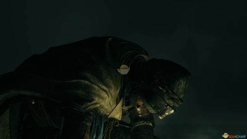 艾尔登法环复仇者，黑夜君临玩法怎么玩？技巧全解析