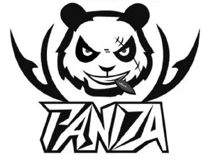 2026年Panda战队深度解析，网红转型还是硬核竞技？