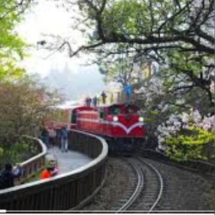 《崩坏星穹铁道》风堇突破必备：材料汇总攻略速查