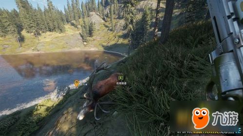 《荒野猎人》营地攻略：隐藏位置大揭秘！
