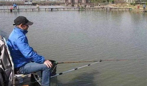 绝区零找不到隐藏钓点？钓鱼圣地全汇总