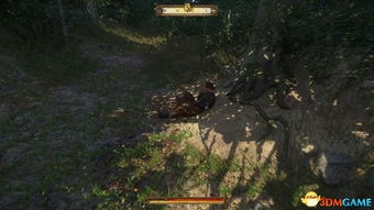 新手必看！天国拯救2祖传秘宝隐藏位置全攻略