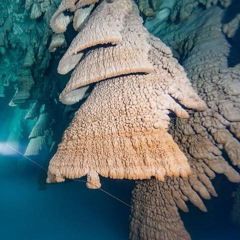 《地狱潜者2》全新合作实机演示：独家揭秘！