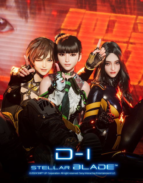 剑星猫咪探秘：十张萌态照片大公开