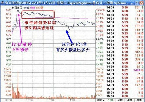 别再亏钱了！问道2026最新工资表类型与收益最大化攻略