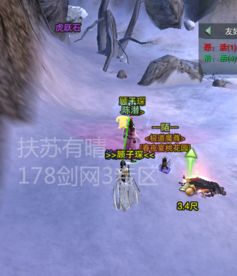 剑网三宠物怎么养？揭秘侠客与跟宠的隐藏获取门道