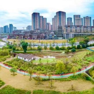 《使命召唤：黑色行动7》与《使命召唤：战争地带》第2赛季第二弹登场 免费开放黑色行动生存模式