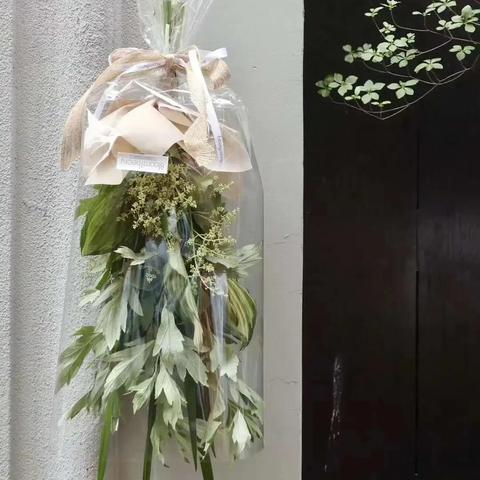 《鸣潮》剑菖蒲高效采集攻略：隐藏点位大揭秘