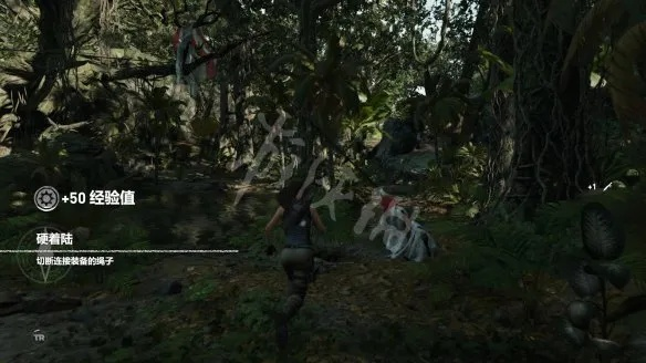 古墓丽影暗影全收集图文攻略，隐藏墓穴解谜与文物位置详解