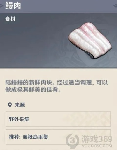 原神鳗肉哪里刷最多？宵宫突破必备材料高效获取秘籍