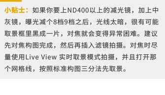 《燕云十六声》攻略：轻松提升张大壮好感度技巧