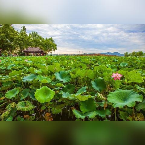 末伏撞上秋老虎？2026年终极防暑攻略，游戏党养生与硬件降温全解