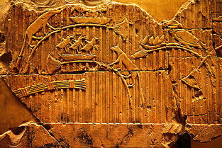 梵蒂冈古宝，古老之圈文物藏匿线索深度揭秘