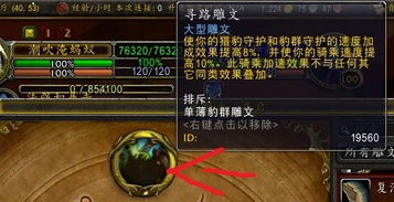 狂野鲸鲨深度攻略，从类型机制到爆率提升的终极指南