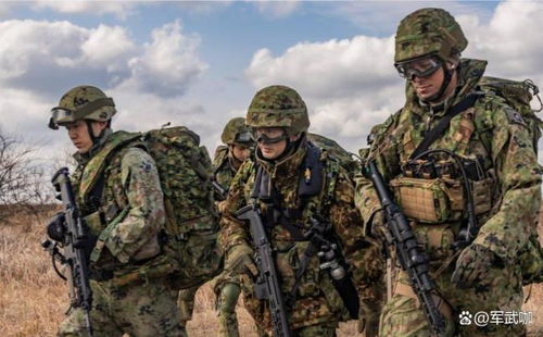 战争之人硬核战术指南，如何用极低战损全歼装甲师？