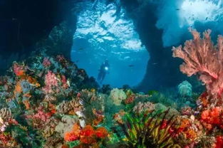 《琥珀岛》揭秘：沉浸式探险，揭秘神秘岛屿魅力