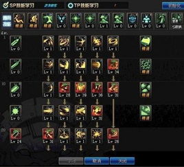 DNF黑暗武士110级最强加点，爆发流续航流TP实战分配全解