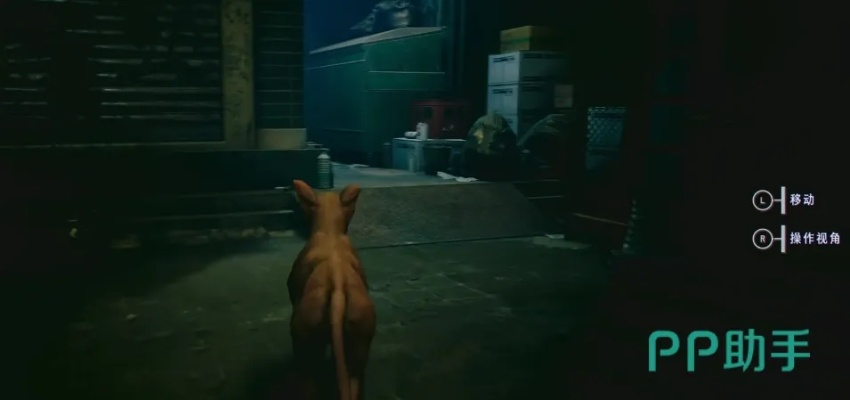 野狗子奇才三姐学不会？高效攻略帮你快速上手