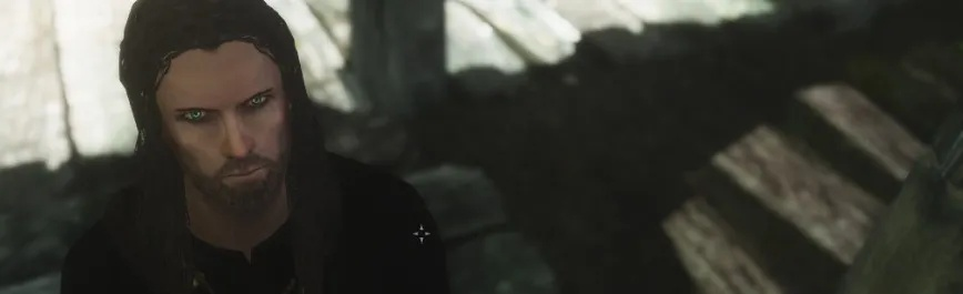 荒野猎人阿拉贡捏脸数据，实测可用，直接导入