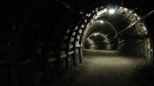 波兰煤炭惊现涂黑石头？深扒骗局内幕与避坑