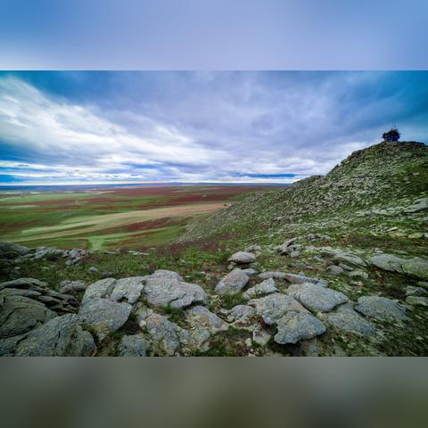 信长之野望10苍天录评定会怎么开？新手快速破局攻略