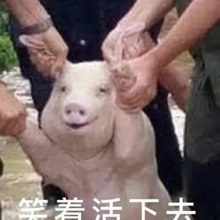 武林求生Demo版试玩，新手必学的独家攻略