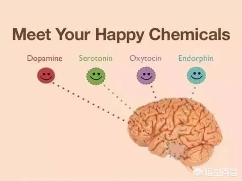 2026年休闲游戏避坑指南，如何利用碎片时间获得极致多巴胺？