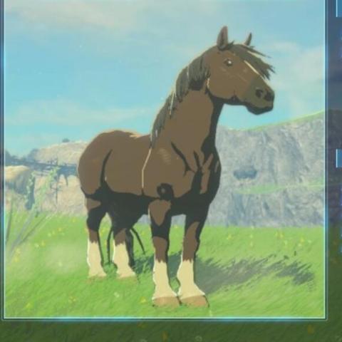 塞尔达传说海拉鲁平原心之碎片全收集，位置与图鉴速查