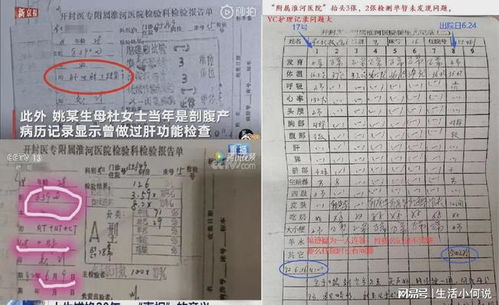 别再下错模拟人生2原版镜像了，新手安装与格式全解析