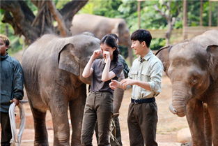 咚奇刚，蕉力全开大象变身引争议 开发者称设计过分