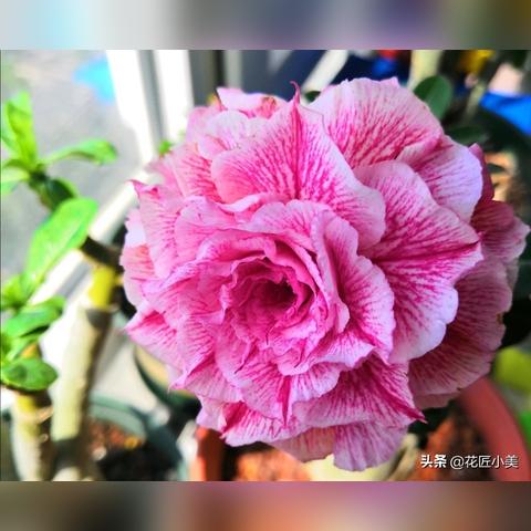 《红色沙漠》开头40分钟实机演示 展示宏大冒险世界！