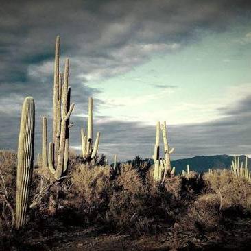 红色沙漠PS5版发售前无实机测试，数毛社引玩家疑虑，会翻车吗？