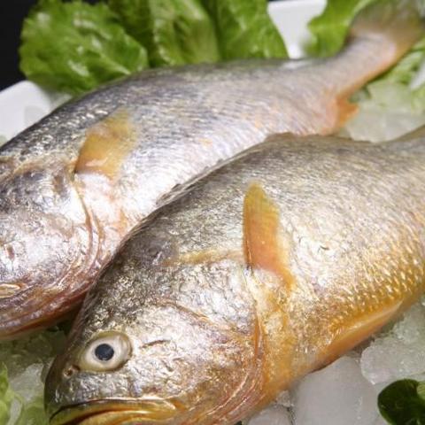 2010网游排行榜神作回顾，当年通宵也要刷的巅峰网游