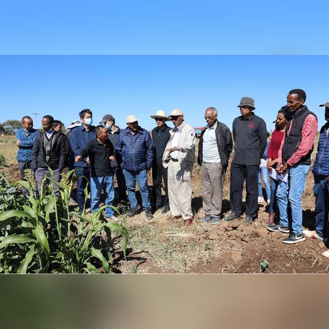 植物大战僵尸新篇18分钟演示，抢先体验新内容