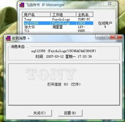 拒绝网盘限速，飞鸽传书2009局域网极速传输实战与故障全解