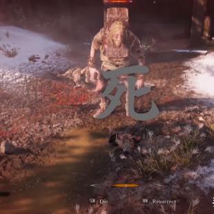 16秒速杀只狼全盛义父！B站主播极限操作引热议