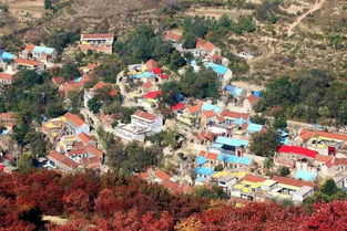 心动小镇红颈绿鸠在哪？秘境隐藏位置攻略