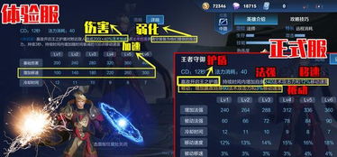 拒绝刮痧！毒王觉醒技能实战配置与伤害优化指南