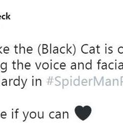 蜘蛛侠，角色灵魂深度解析，玩法沉浸体验指南