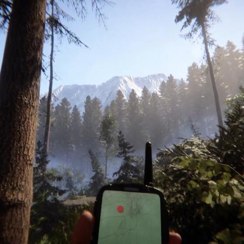 森林之子多少钱？全网最低价渠道与配置要求避坑指南