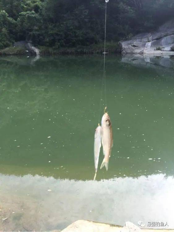 心动小镇钓蝌蚪，玩家实测的隐藏钓点