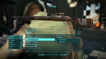 揭秘辐射4磁暴武器，磁暴步枪最强流派与隐藏改装技巧