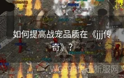 2026年jjj传奇微变版实战攻略，职业选择与爆率提升秘籍