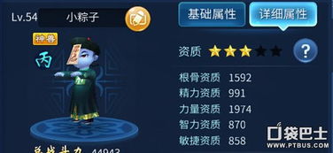 倩女幽魂宠物类型深度剖析，从资质到技能的实战指南