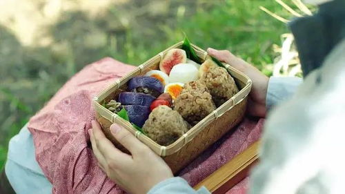 刚入坑小森生活不知道做什么？揭秘第一道料理的隐藏门道