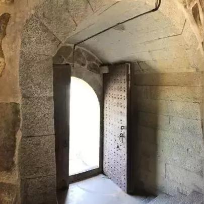 福建一夜现巨幅蜘蛛网，现实版蛛网围城能否在游戏中复刻？