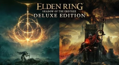 艾尔登法环黄金树之影DLC，黑夜套装速拿指南！无弯路步骤