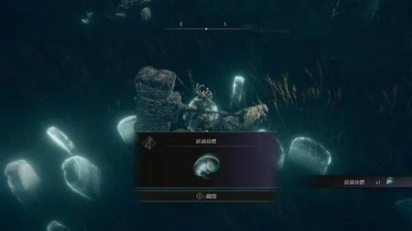 艾尔登法环DLC泪滴幼体秘境藏匿处速查攻略