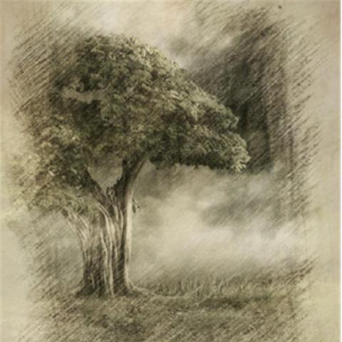 红色沙漠PC版技术分析，优化可圈可点，视觉妥协在哪？