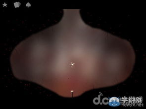 Botanicula卡关怎么办？全怪物卡片位置与通关秘籍大公开